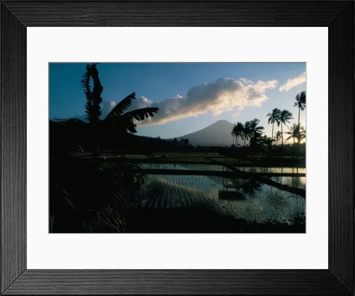 Framed Print : Reflections in water of rice paddies Framed Print : Reflections in water of rice paddies
