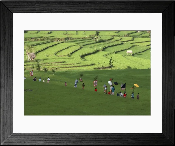 Framed Print : Procession through rice terraces ner Tenganan Framed Print : Procession through rice terraces ner Tenganan