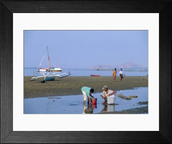 Framed Print : Men and outrigger boats at low tide off the port of Framed Print : Men and outrigger boats at low tide off the port of