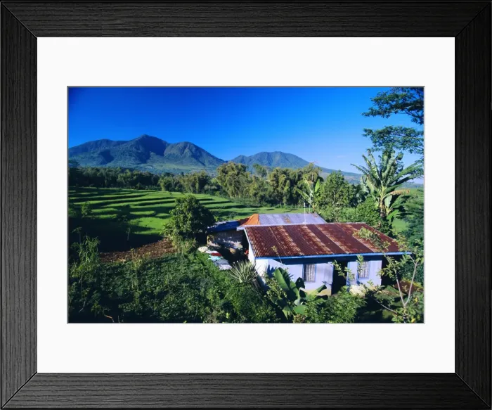 Framed Print : House amidst the rice terraces in the rice and coffee Framed Print : House amidst the rice terraces in the rice and coffee