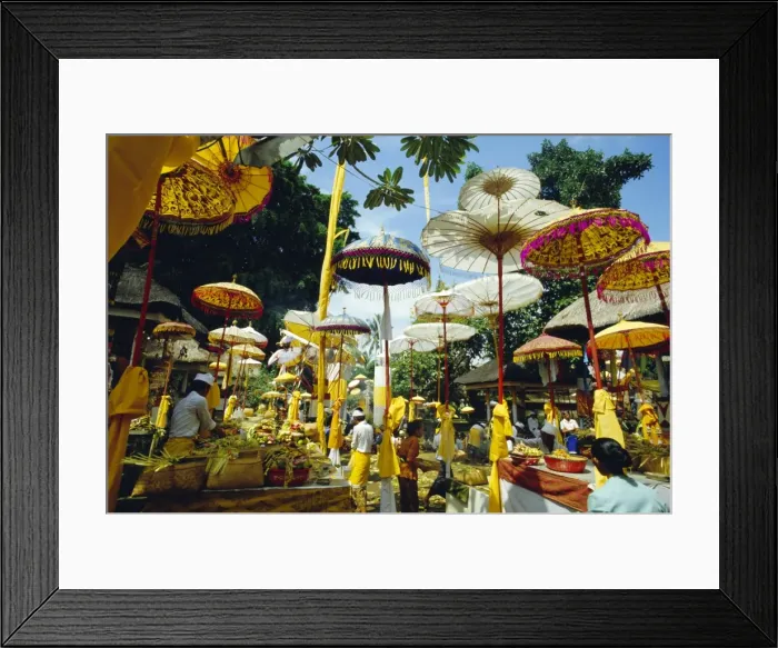 Framed Print : Parasols in Taman Pile Hindu temple on Koningan Day Framed Print : Parasols in Taman Pile Hindu temple on Koningan Day