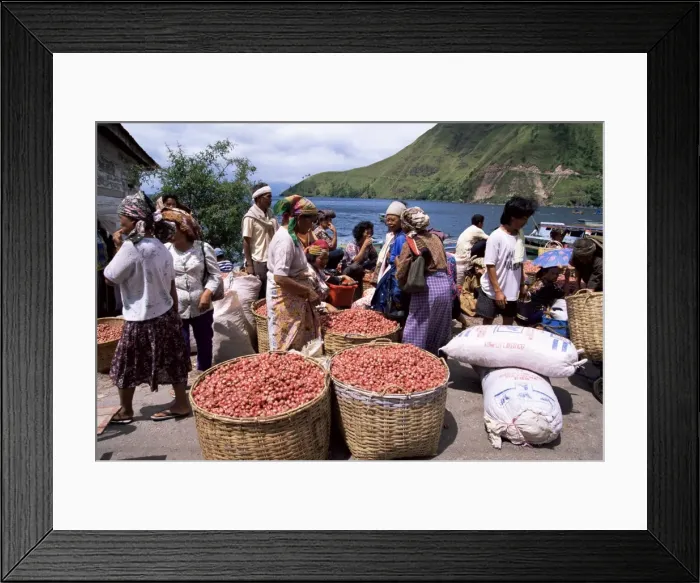 Framed Print : Batak women with onion crop at market in Haranggaol Framed Print : Batak women with onion crop at market in Haranggaol