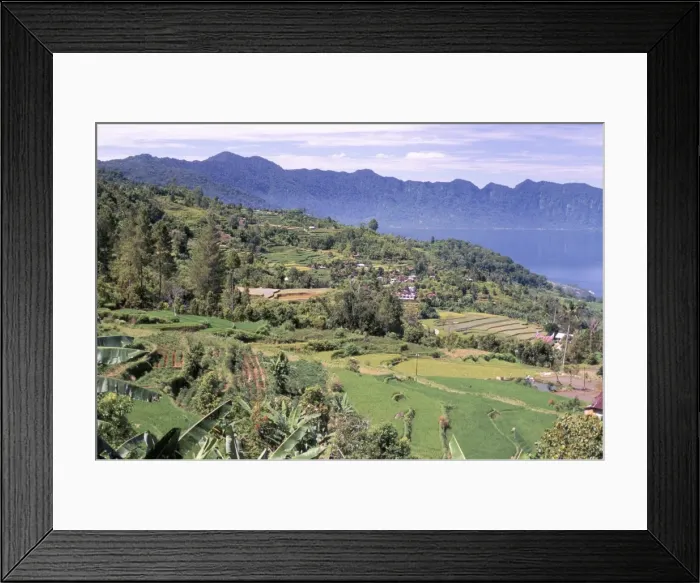 Framed Print : Rice terraces on the eastern shore of Maninjau Framed Print : Rice terraces on the eastern shore of Maninjau