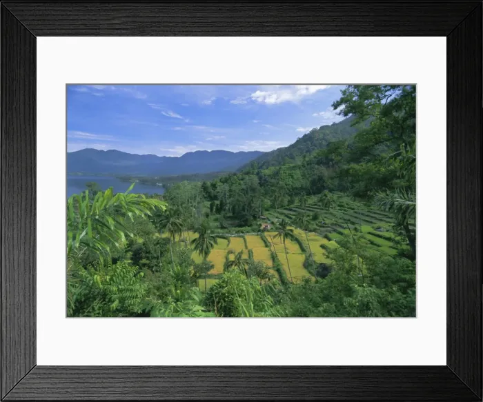 Framed Print : Rice terraces on eastern shore of crater lake Framed Print : Rice terraces on eastern shore of crater lake