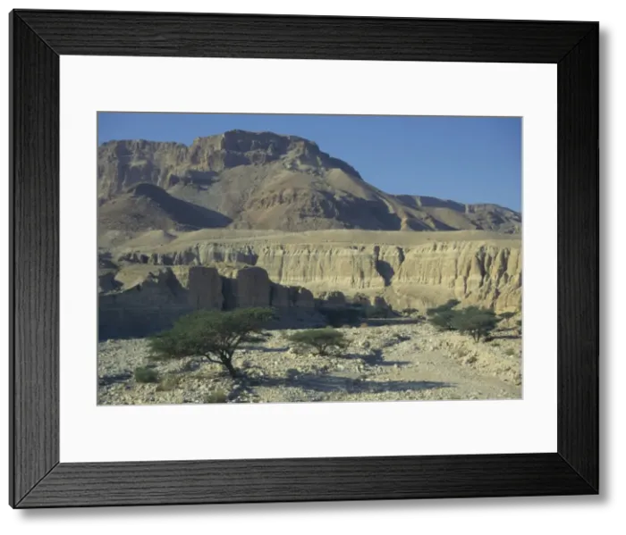 Framed Print : View with typical desert trees and cliffs