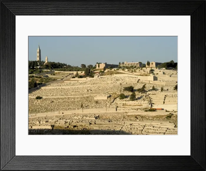 Framed Print : Jewish Cemetery Framed Print : Jewish Cemetery