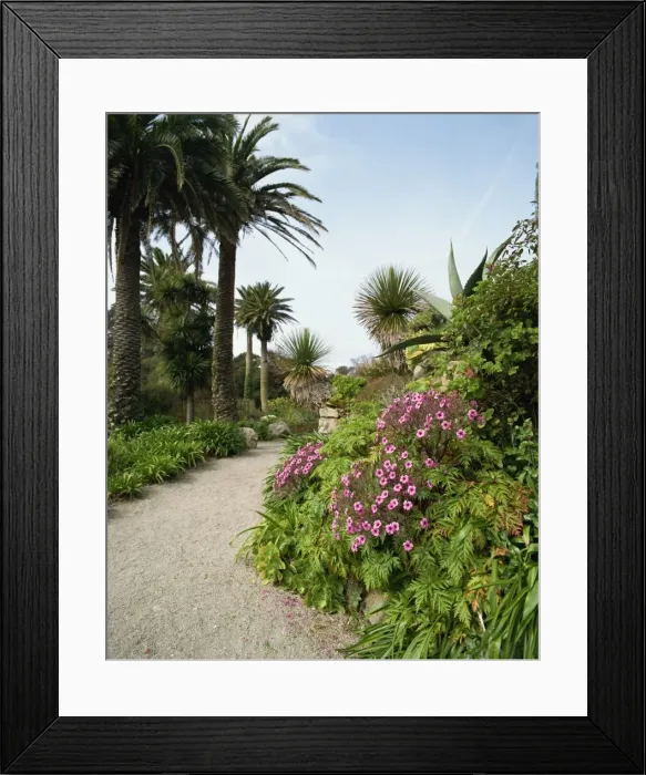 Framed Print : Abbey Gardens Framed Print : Abbey Gardens