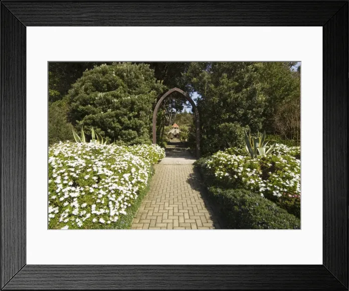 Framed Print : The Abbey Gardens