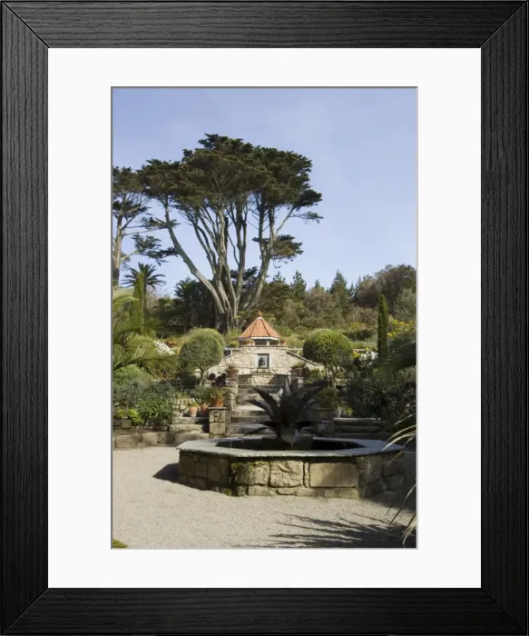 Framed Print : The Abbey Gardens Framed Print : The Abbey Gardens
