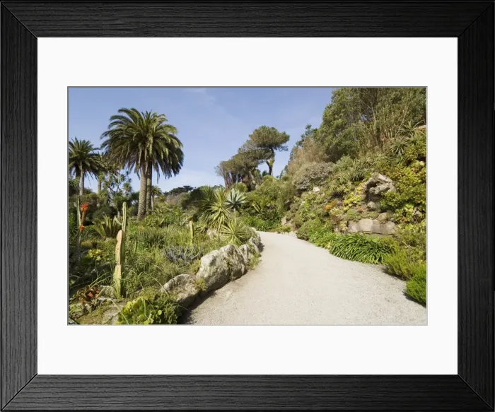 Framed Print : The Abbey Gardens Framed Print : The Abbey Gardens