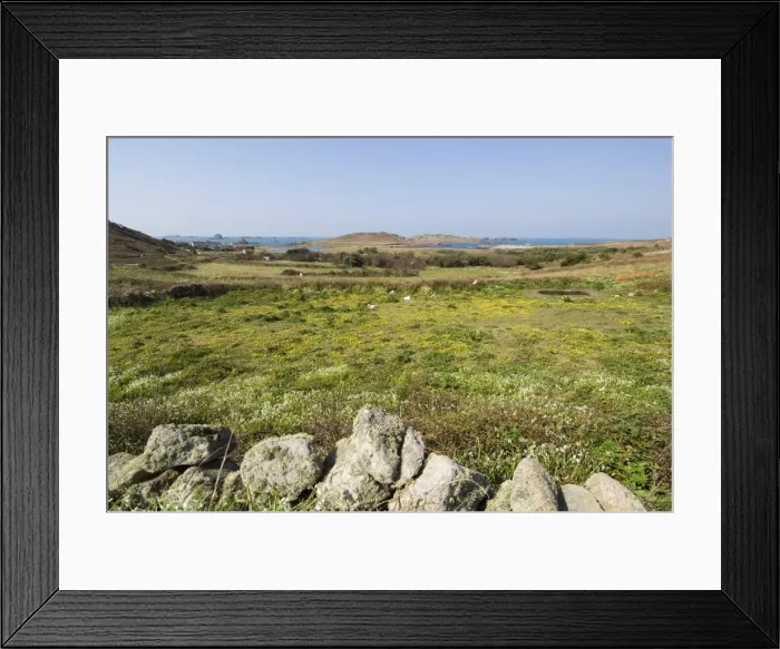 Framed Print : Bryer (Bryher)