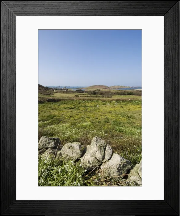 Framed Print : Bryer (Bryh)
