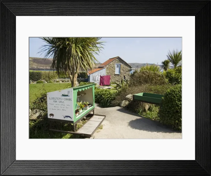 Framed Print : Bryer (Bryher) Framed Print : Bryer (Bryher)