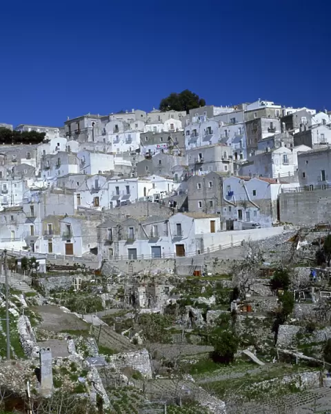 Houses of the village of Monte Sant Angelo in Puglia