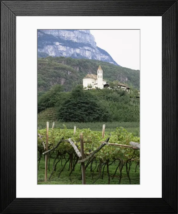 Framed Print : Church and vines at Missiano Framed Print : Church and vines at Missiano