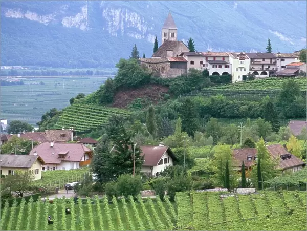 Traminer, the town that gave its name to Gewurztraminer wine