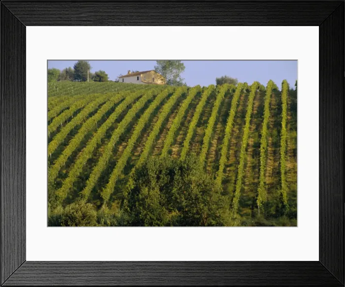 Framed Print : Landscape, St Framed Print : Landscape, St