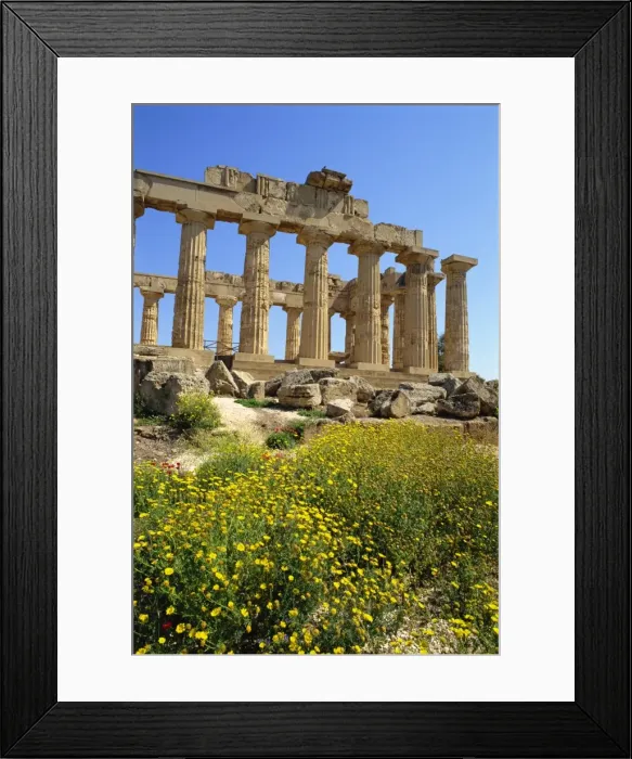 Framed Print : Wild flowers and the ruins of the Greek temples Framed Print : Wild flowers and the ruins of the Greek temples