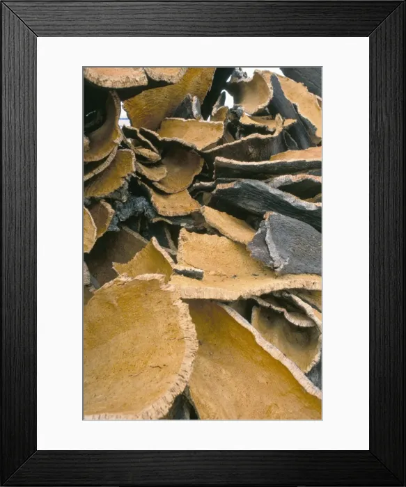 Framed Print : Pile of cork bark for bottle corks etc stacked to dry Framed Print : Pile of cork bark for bottle corks etc stacked to dry