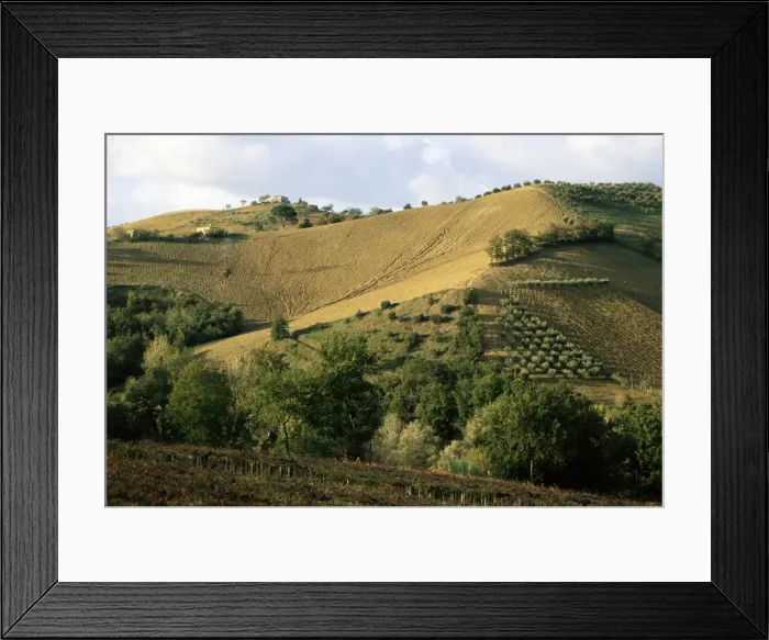 Framed Print : Landscape near Chieti Framed Print : Landscape near Chieti