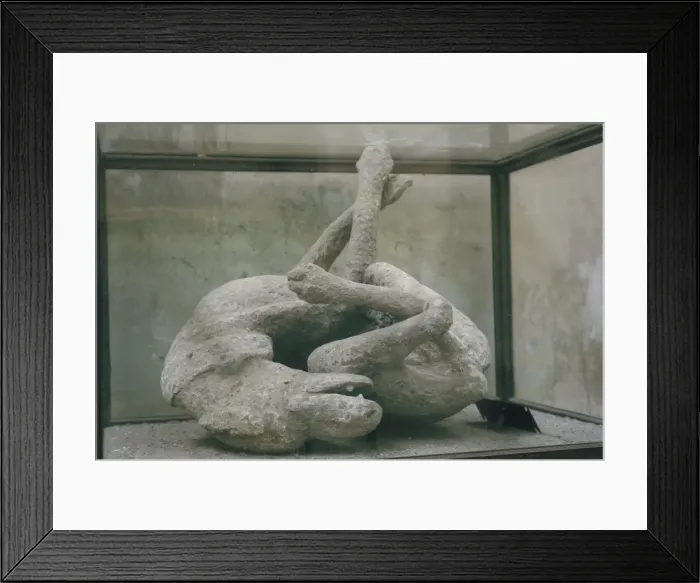 Framed Print : Cast of dog