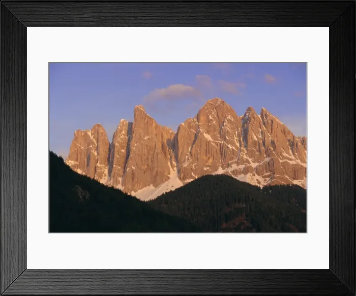 Framed Print : The Olde Geisler group Framed Print : The Olde Geisler group