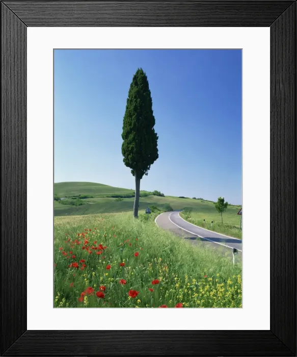 Framed Print : Winding road through typical landscape and a single Framed Print : Winding road through typical landscape and a single