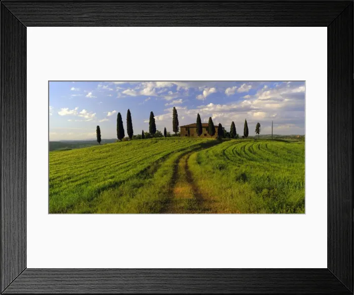 Framed Print : Farmhouse and cypress trees near Pienza Framed Print : Farmhouse and cypress trees near Pienza