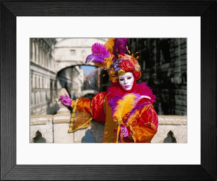 Framed Print : Portrait of a person dressed in mask and costume posing Framed Print : Portrait of a person dressed in mask and costume posing