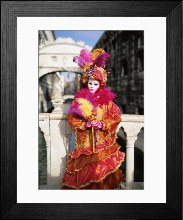 Framed Print : Person dressed in carnival mask and costume Framed Print : Person dressed in carnival mask and costume