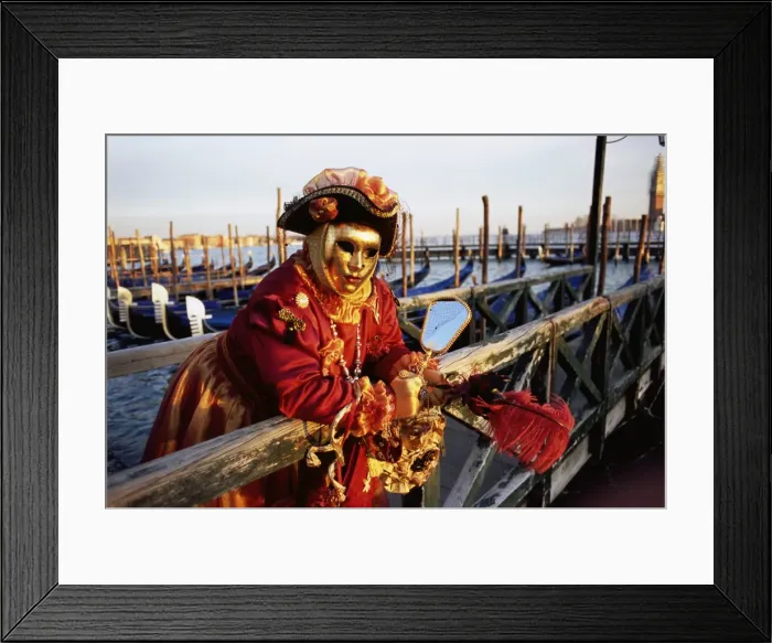 Framed Print : Portrait of a person dressed in carnival mask and costume Framed Print : Portrait of a person dressed in carnival mask and costume