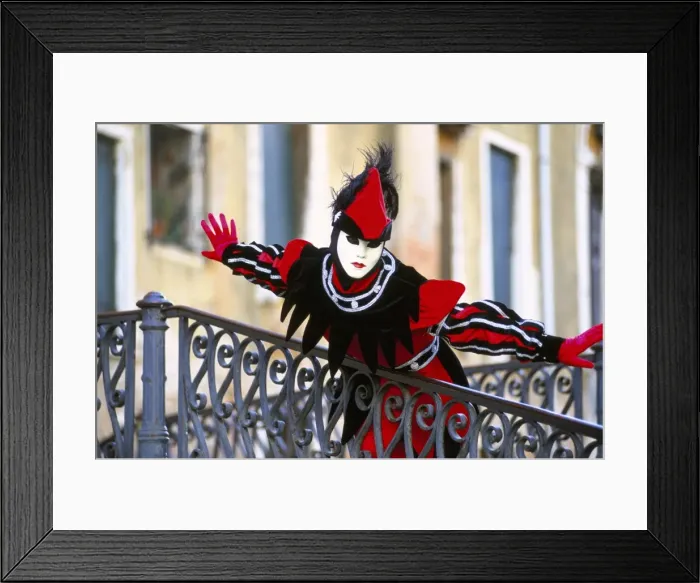 Framed Print : Portrait of a person dressed in mask and costume taking Framed Print : Portrait of a person dressed in mask and costume taking
