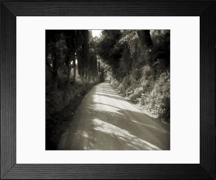Framed Print : Image taken with a Holga medium format 120 film toy Framed Print : Image taken with a Holga medium format 120 film toy
