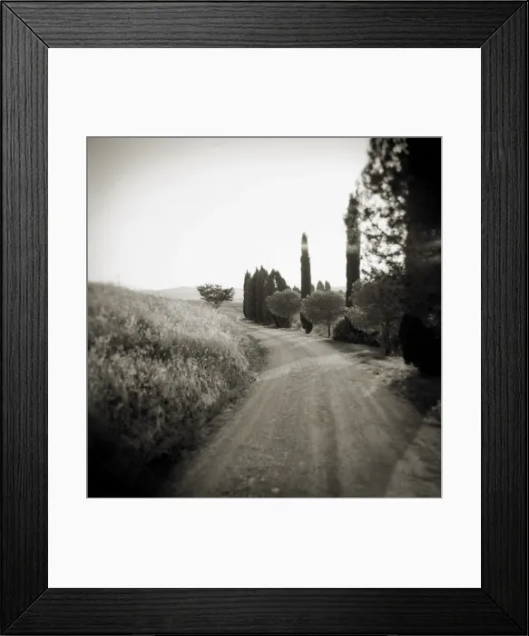 Framed Print : Image taken with a Holga medium format 120 film toy Framed Print : Image taken with a Holga medium format 120 film toy