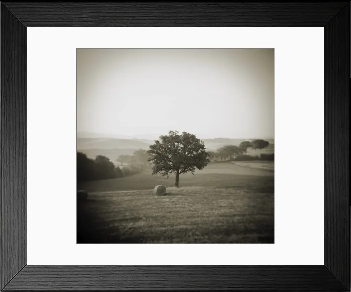 Framed Print : Image taken with a Holga medium format 120 film toy Framed Print : Image taken with a Holga medium format 120 film toy