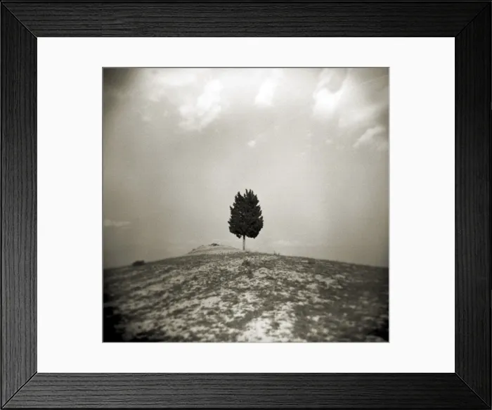 Framed Print : Image taken with a Holga medium format 120 film toy Framed Print : Image taken with a Holga medium format 120 film toy