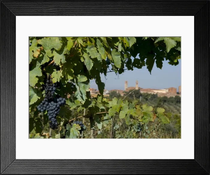 Framed Print : Chianciano Terme