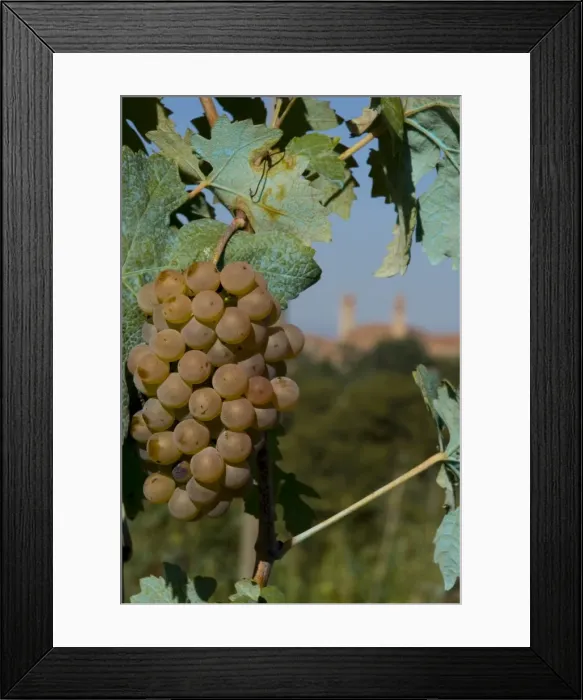 Framed Print : Chianciano Terme, Tuscany, Italy, Europe Framed Print : Chianciano Terme, Tuscany, Italy, Europe
