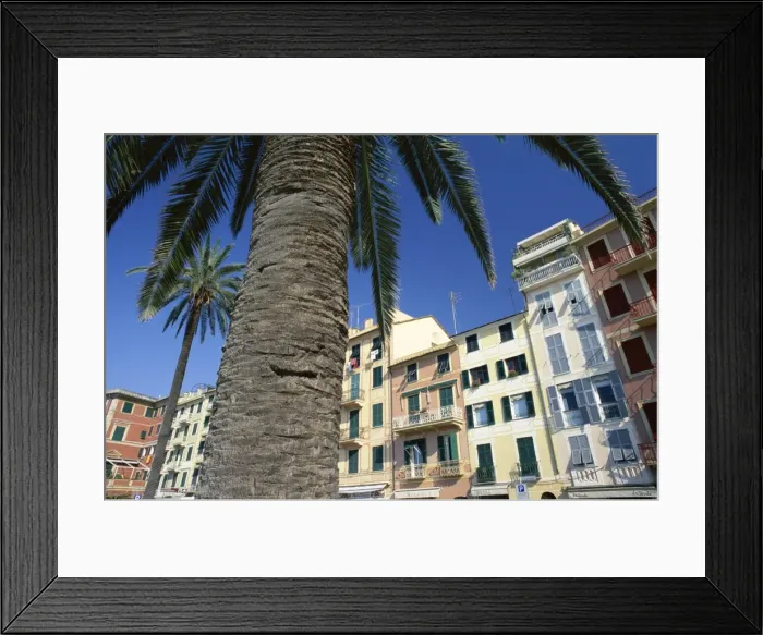 Framed Print : Colourful buildings and palm trees Framed Print : Colourful buildings and palm trees