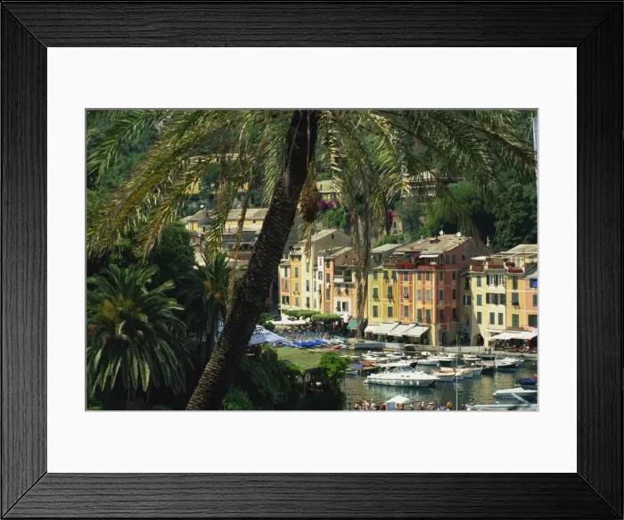 Framed Print : View over harbour from hillside Framed Print : View over harbour from hillside