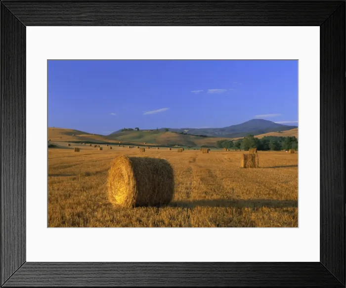 Framed Print : Bales of hay at sunrise Framed Print : Bales of hay at sunrise