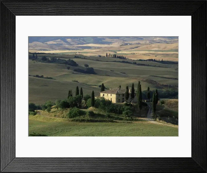Framed Print : Farmhouse and cypress tres in the earning morning Framed Print : Farmhouse and cypress tres in the earning morning