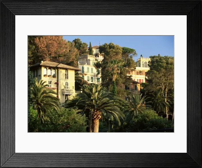 Framed Print : Hillside mansions amongst palms Framed Print : Hillside mansions amongst palms