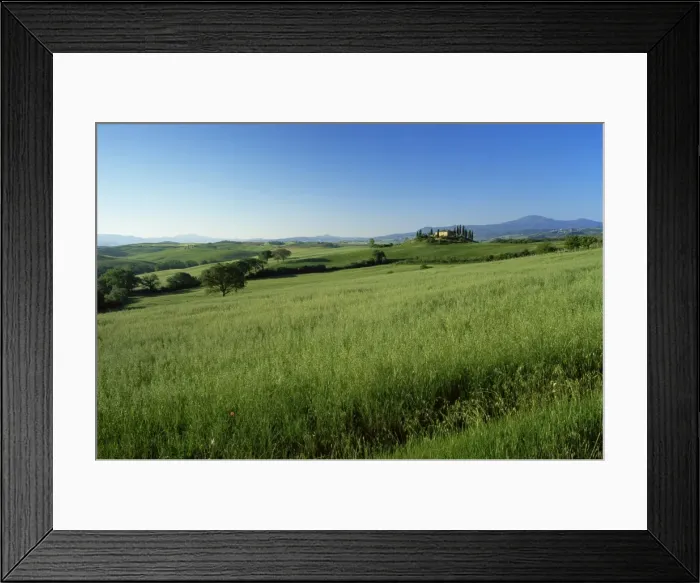 Framed Print : Val d Orcia (Orcia Valley) Framed Print : Val d Orcia (Orcia Valley)