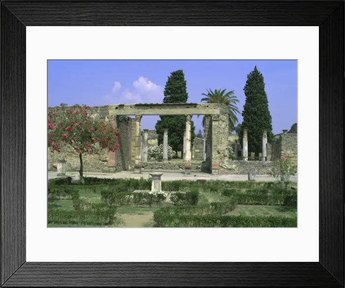 Framed Print : Casa di Fauna Framed Print : Casa di Fauna