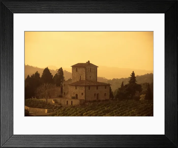 Framed Print : Farms and vines Framed Print : Farms and vines