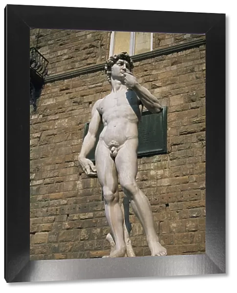 The statue of David by Michelangelo in the Piazza della