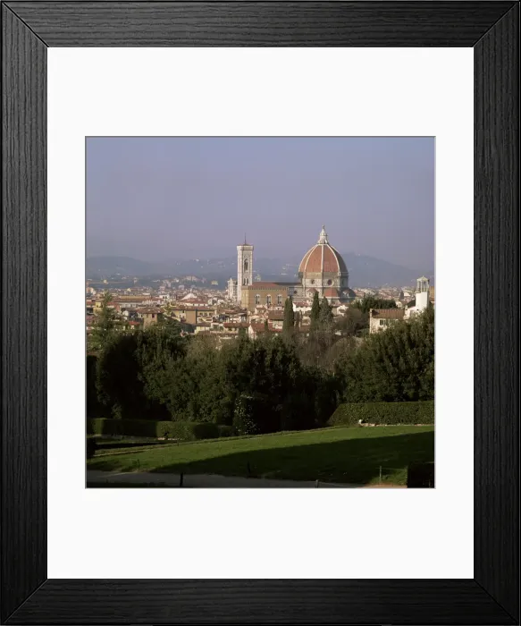 Framed Print : City skyline from Boboli Gardens Framed Print : City skyline from Boboli Gardens
