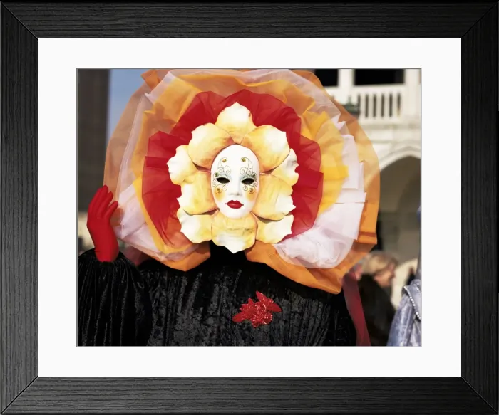 Framed Print : Carnival costume Framed Print : Carnival costume