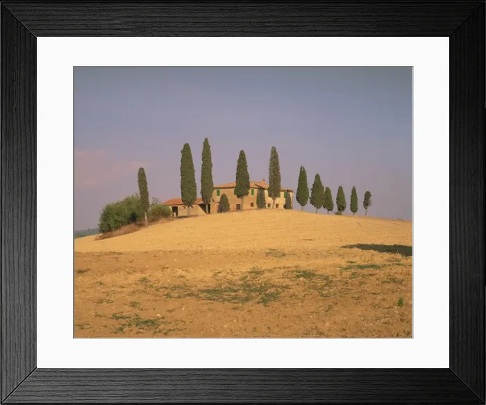 Framed Print : Farmhouse and cypress trees Framed Print : Farmhouse and cypress trees